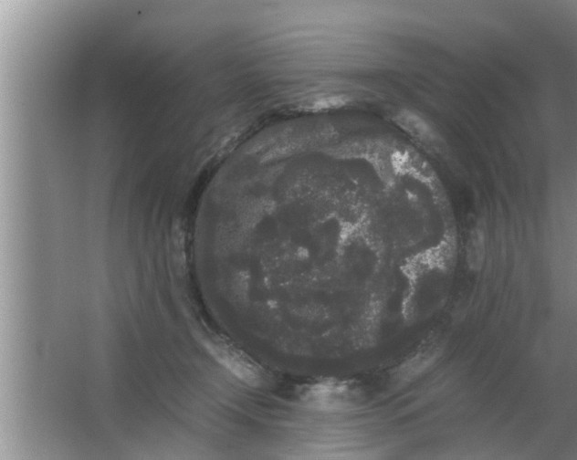 X0000063500366200602032023