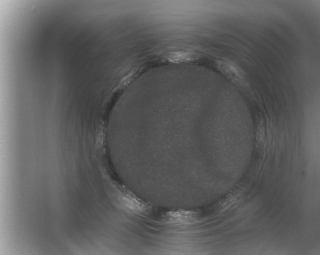 X0000063500367200602032023