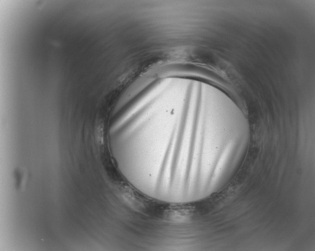 X0000063500368200602032023