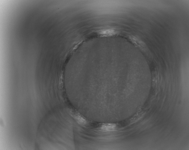 X0000063500369200602032023