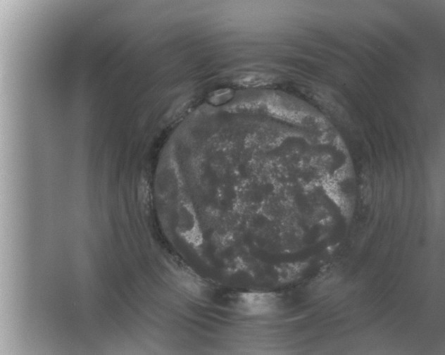 X0000063500371200602032024