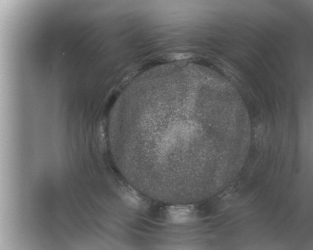 X0000063500373200602032024