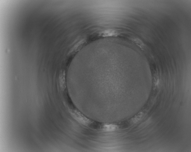 X0000063500376200602032024