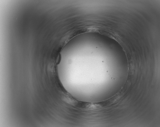 X0000063500379200602032024