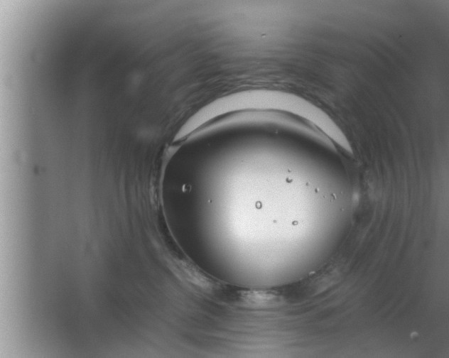 X0000063500380200602032024