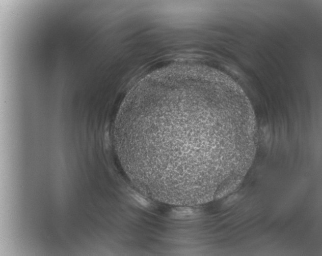 X0000063500381200602032024