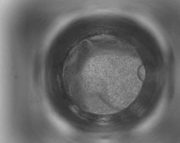 X0000063500382200602032024