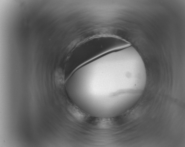 X0000063500384200602032024