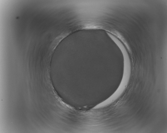 X0000063500385200602032023