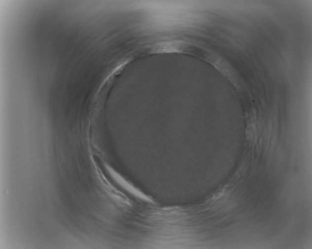 X0000063500386200602032023