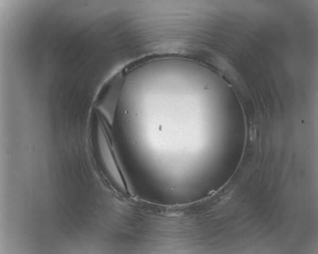 X0000063500388200602032023