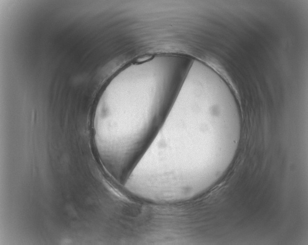 X0000063500389200602032023