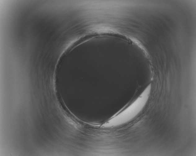 X0000063500391200602032023