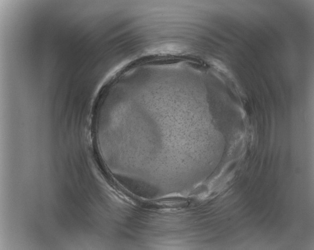 X0000063500392200602032023