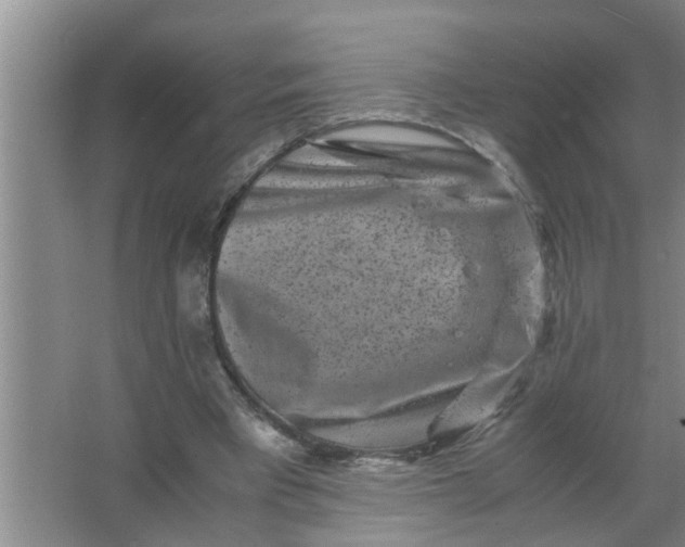 X0000063500393200602032023