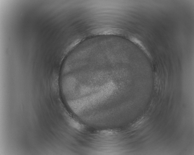 X0000063500394200602032023