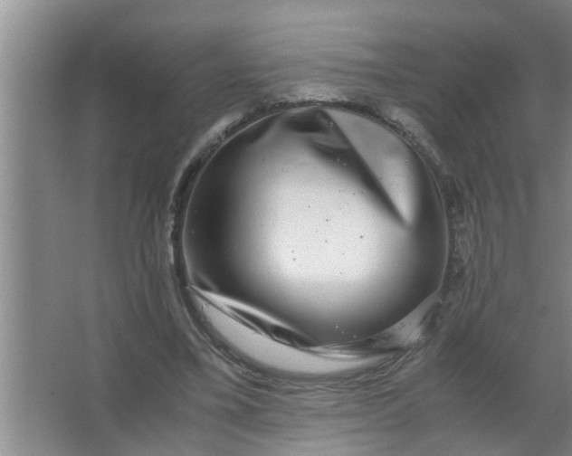 X0000063500395200602032023