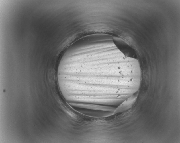 X0000063500397200602032023