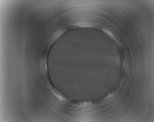 X0000063500398200602032023