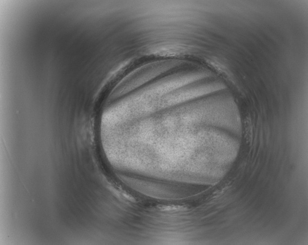 X0000063500400200602032023