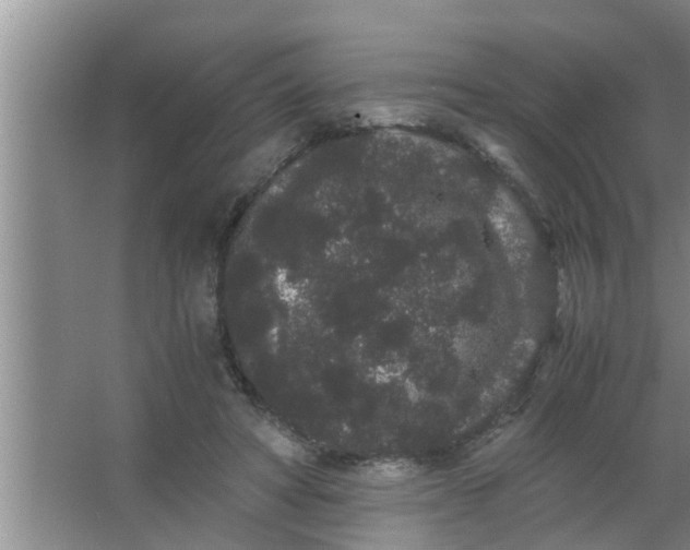 X0000063500402200602032023