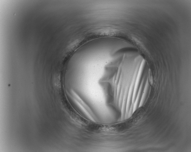 X0000063500403200602032023