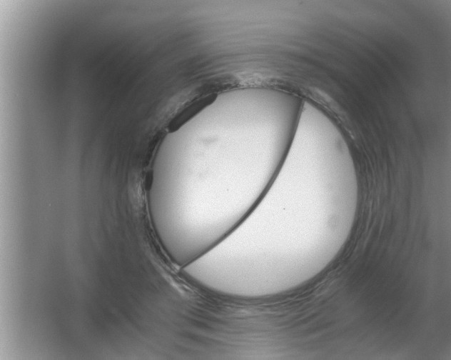 X0000063500405200602032023