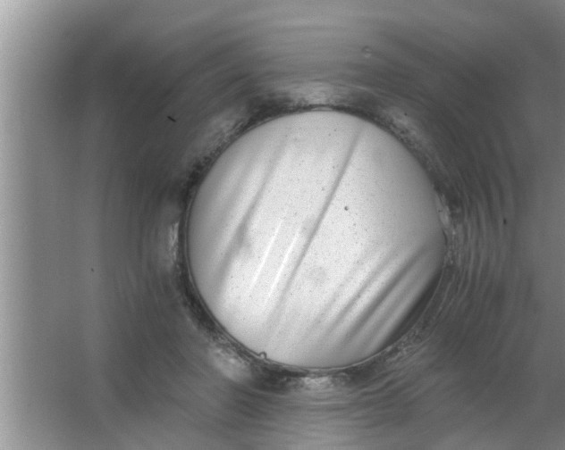 X0000063500406200602032023