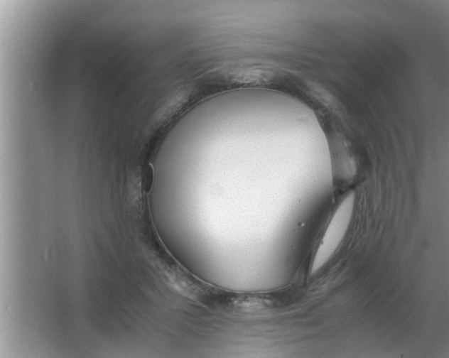 X0000063500407200602032023