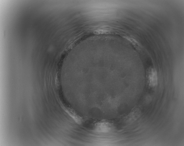 X0000063500408200602032023