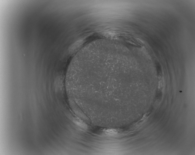 X0000063500409200602032023