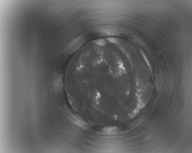 X0000063500410200602032022