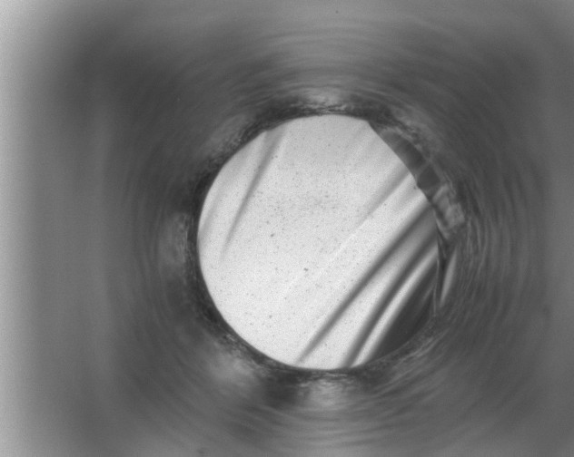 X0000063500412200602032022