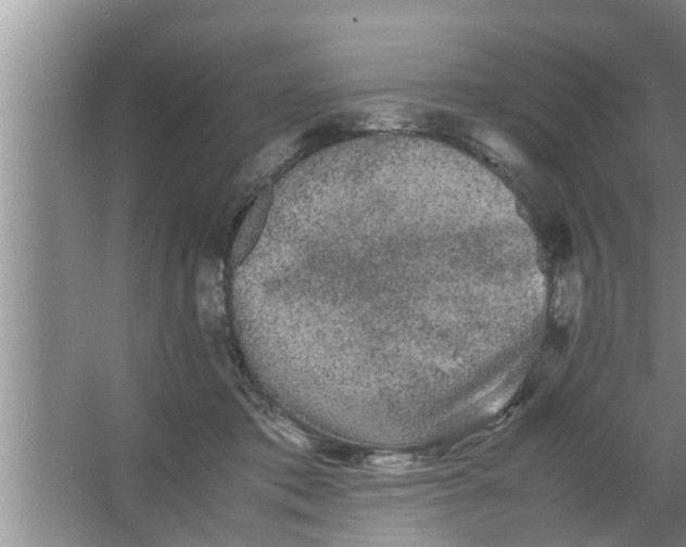 X0000063500413200602032022