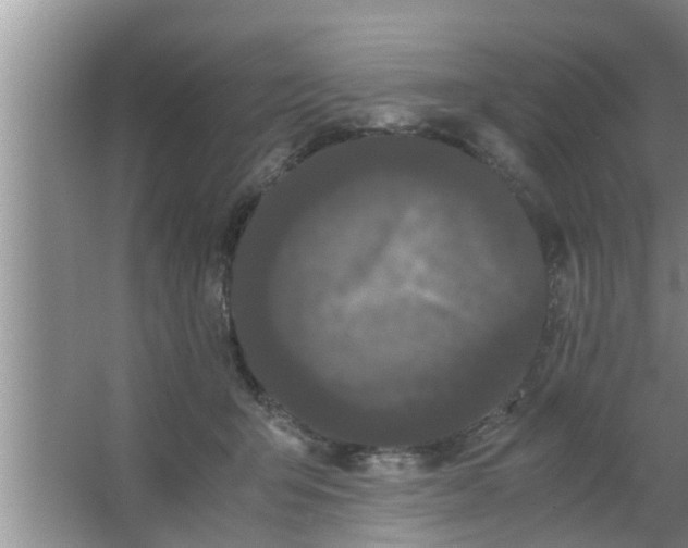 X0000063500415200602032022