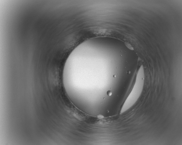 X0000063500416200602032022