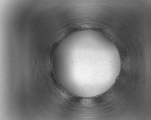 X0000063500418200602032022