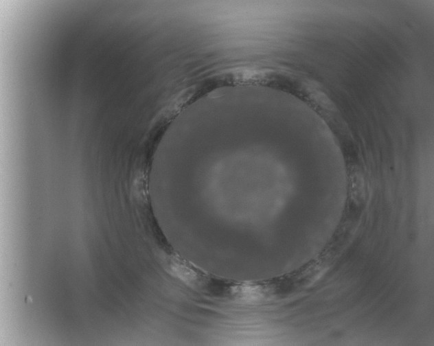 X0000063500419200602032022