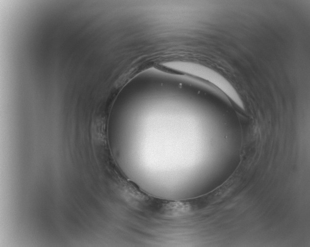 X0000063500421200602032022