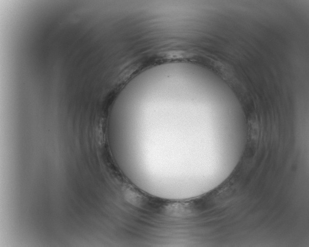 X0000063500422200602032022