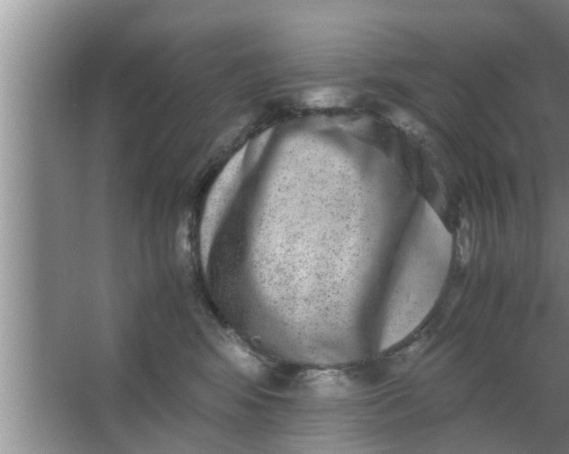 X0000063500424200602032022