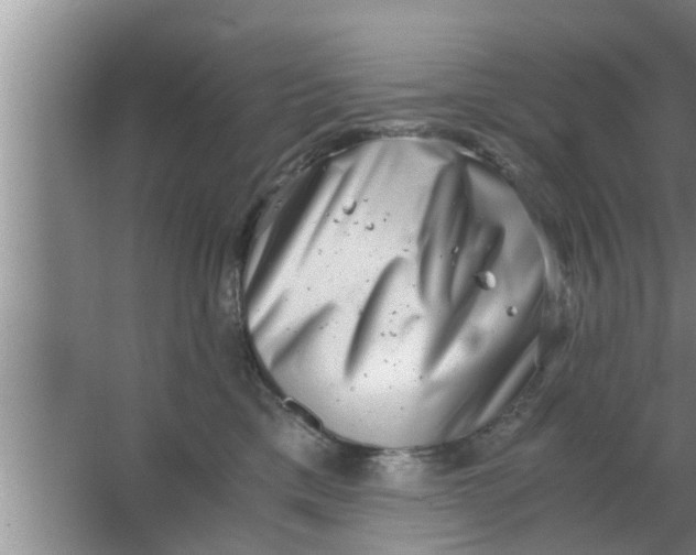 X0000063500425200602032022