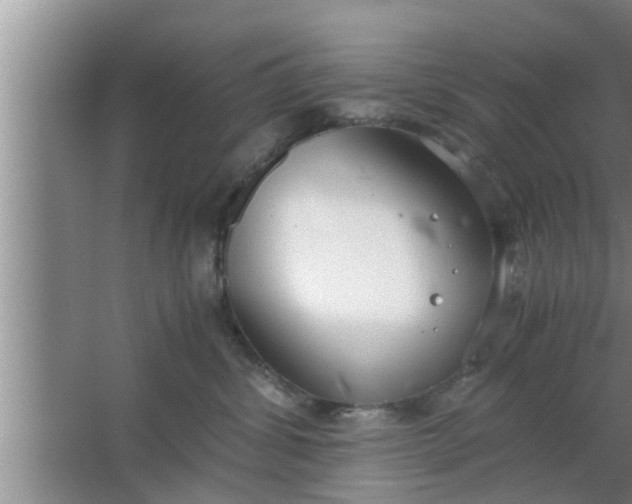 X0000063500428200602032022