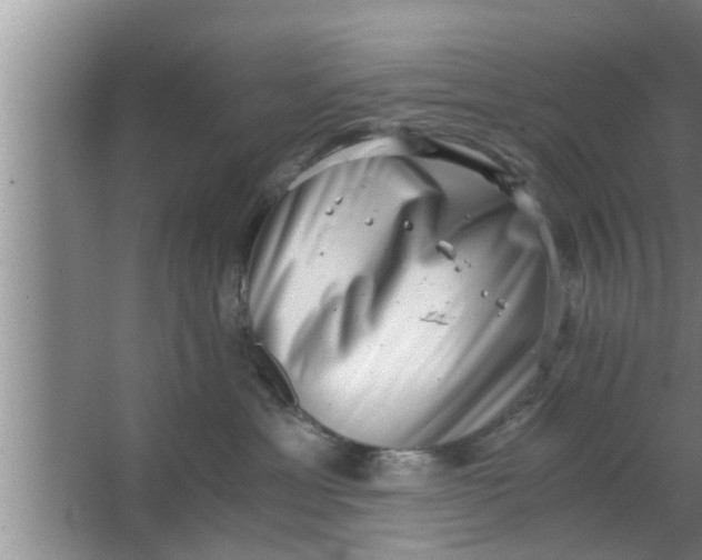 X0000063500429200602032022