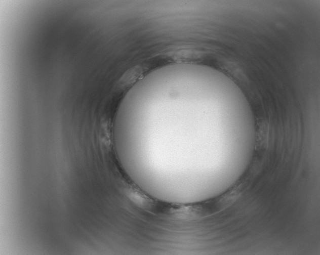 X0000063500430200602032022