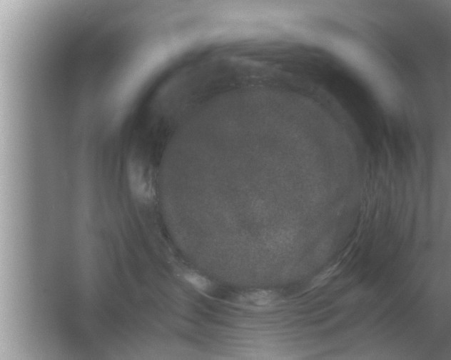 X0000063500431200602032022