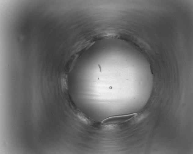 X0000063500432200602032022