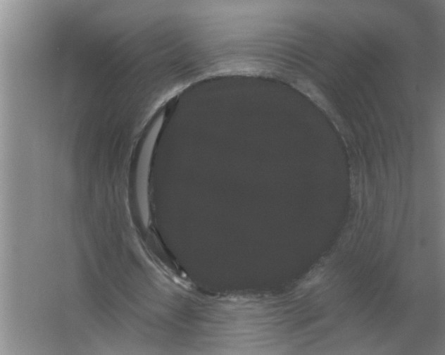 X0000063500434200602032021