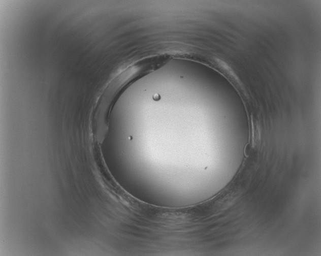 X0000063500435200602032021