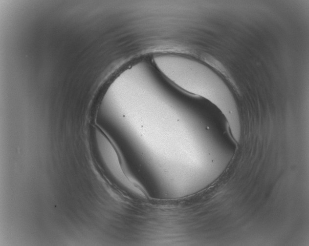 X0000063500436200602032021